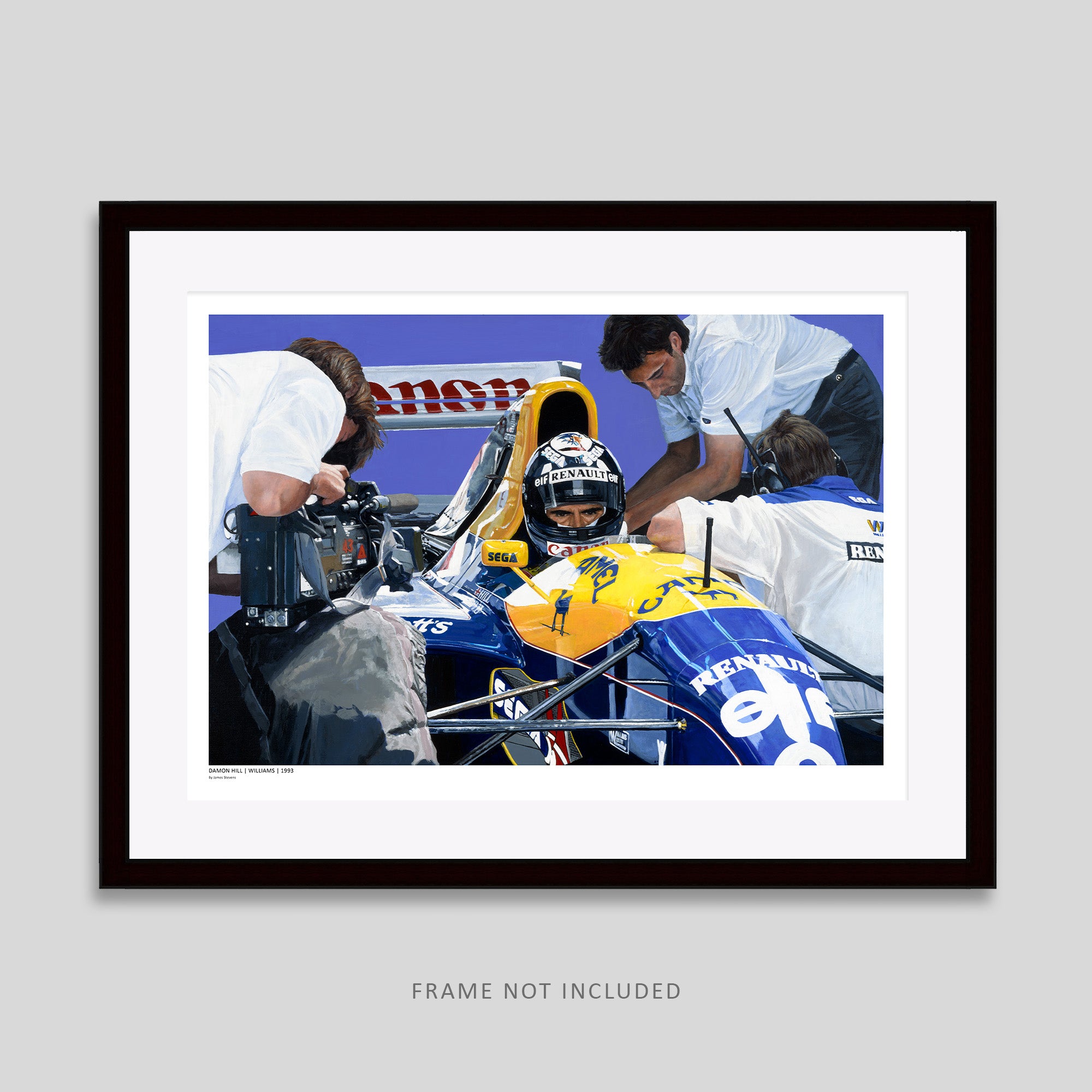 Damon Hill 93