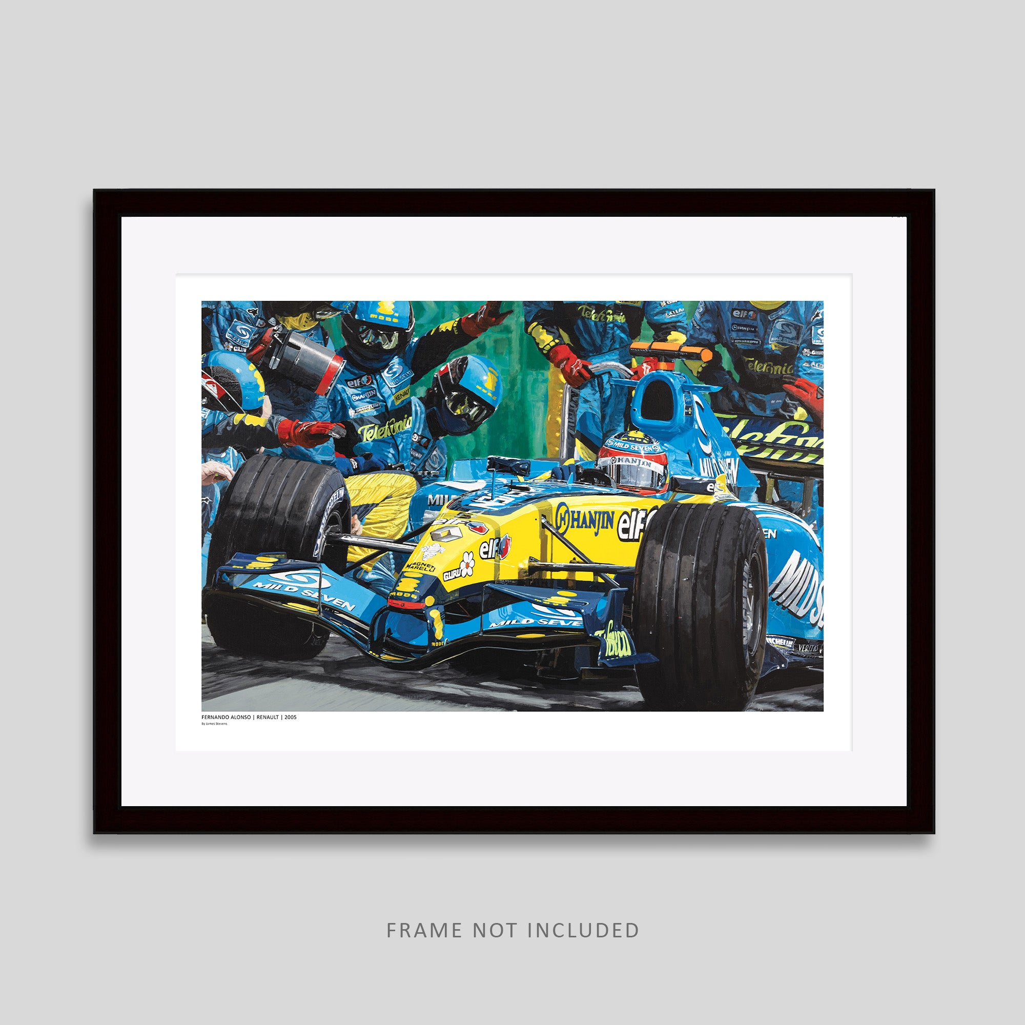 Fernando Alonso 05