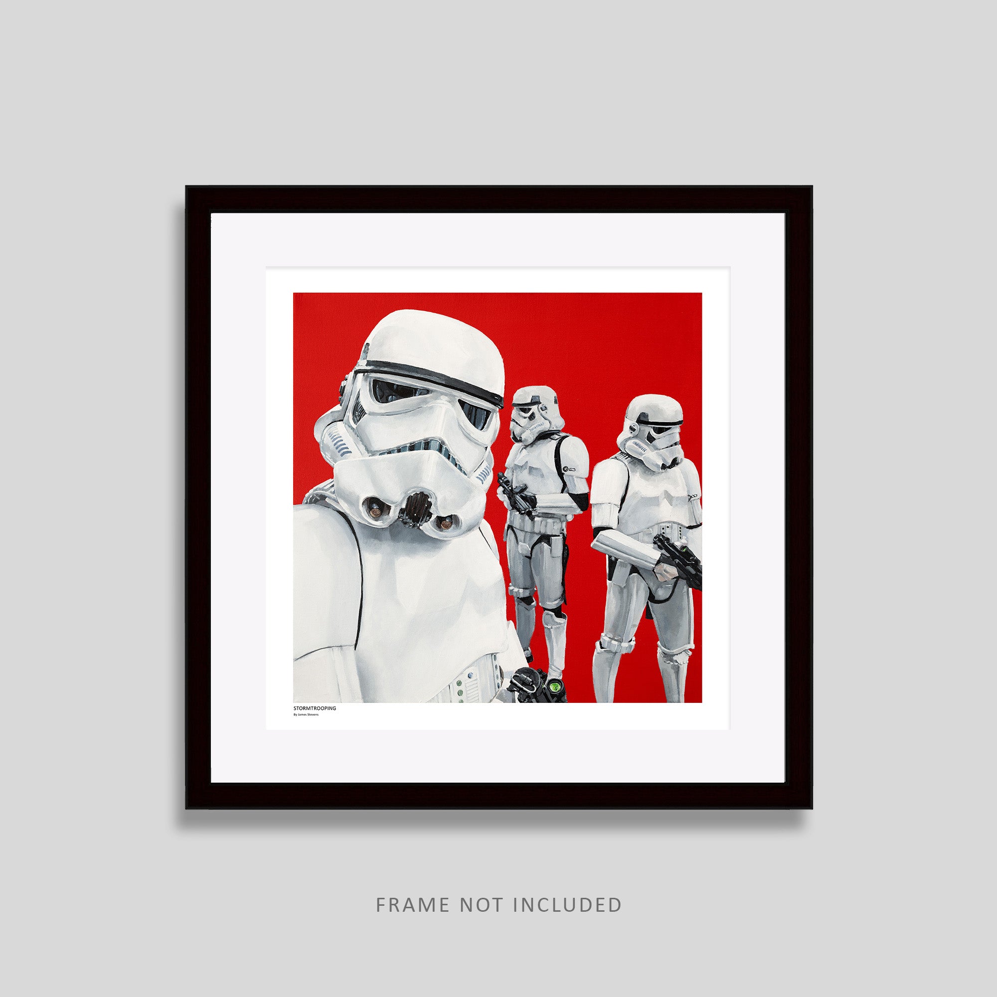 Stormtrooping